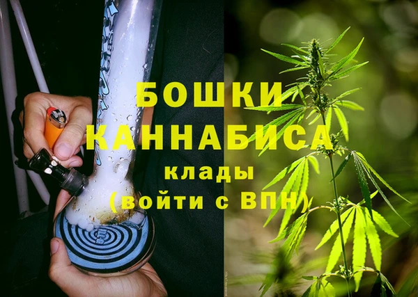 PSILOCYBIN Абдулино