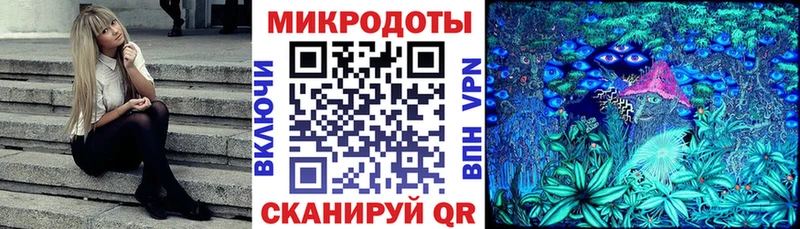 Галлюциногенные грибы Psilocybe  блэк спрут ССЫЛКА  Хилок 